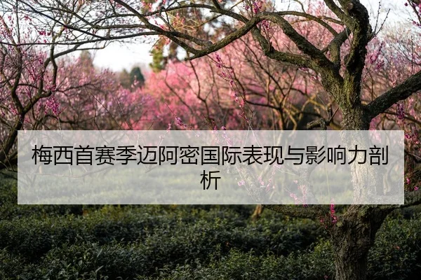 梅西首赛季迈阿密国际表现与影响力剖析